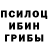 Псилоцибиновые грибы прущие грибы jeimsin