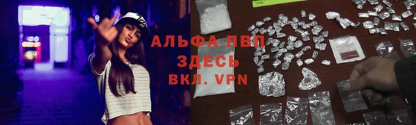 apvp Дмитровск