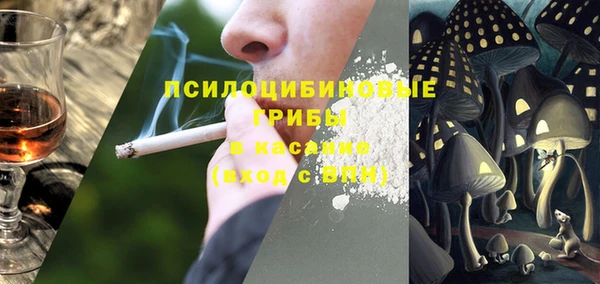 apvp Дмитровск